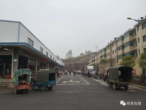 祁東縣大型活禽水產綜合批發市場 位置、功能與區域商貿新格局